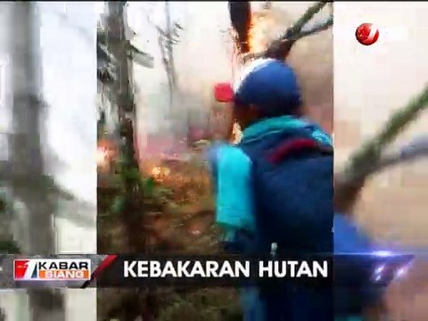 Kebakaran Hutan Gunung Lawu Semakin Meluas