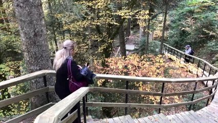 Baklabostan Tabiat Parkı'nda hazan güzelliği