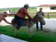 Vídeo viral: Así obligan a burros a transportar turistas gordos cuesta arriba en Grecia