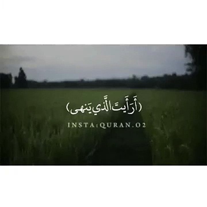 تلاوة خاشعة    أرايت الذي ينهى   عبداً إذا صلى...