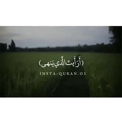 تلاوة خاشعة    أرايت الذي ينهى   عبداً إذا صلى حالات واتس اب اسلاميه دينيه قرآن