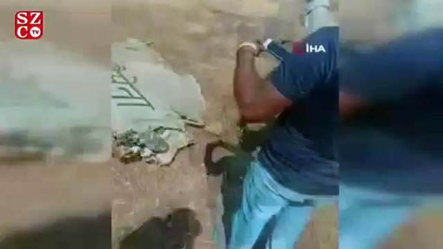 Hindistan’da savaş uçağı düştü