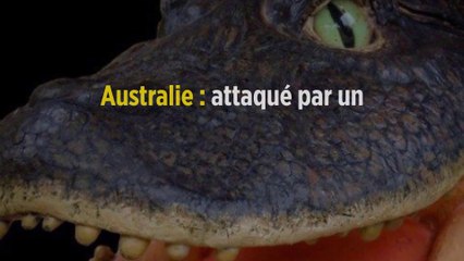 Australie : attaqué par un crocodile, il survit en lui mettant le doigt dans l'œil.
