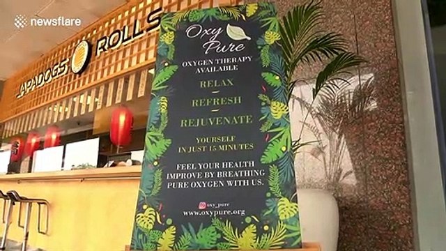 Choked by smog, Indian capital Delhi gets its first oxygen bar