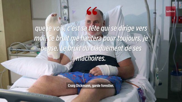 Australie : attaqué par un crocodile, il survit en lui mettant le doigt dans l'œil.