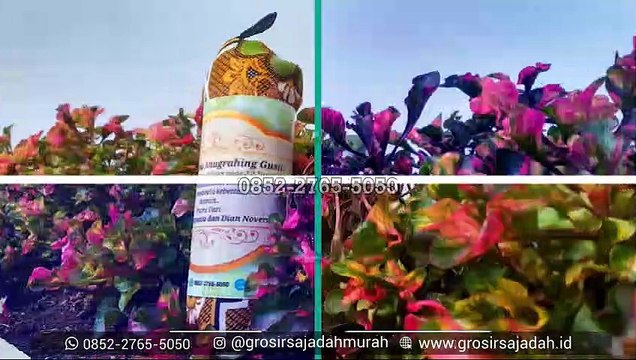 TERMURAH!!!, +62 852-2765-5050, Sajadah Batik Sogan