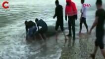 Kıyıya vuran balina, kurtarılarak denize bırakıldı