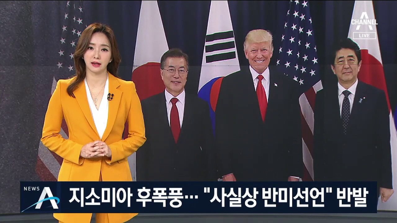 지소미아 연장 거부 후폭풍…野 “사실상 반미선언” 반발