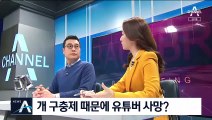 [백브리핑]사람·돼지 구충제까지 찾는 암 환자들