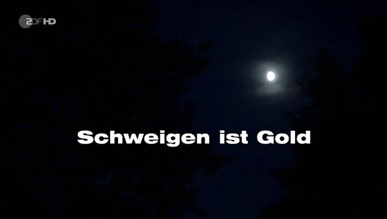 Notruf Hafenkante (284) Staffel 12 Folge 9 - Schweigen ist Gold