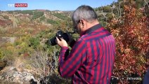 Fotoğrafçılar sonbahar manzaraları için rotasını Manisa'ya çevirdi