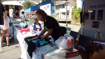 Sokak hayvanları görücüye çıktı