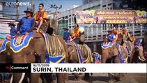 Dickhäuter spielen Fußball: Elefanten-Festival in Thailand