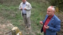 Barcın Köyü'nün Her Yerinden Tarihi Mezar Fışkırıyor