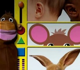 Baby Einstein 24 - Baby DaVinci - From Head To Toe (06mos)