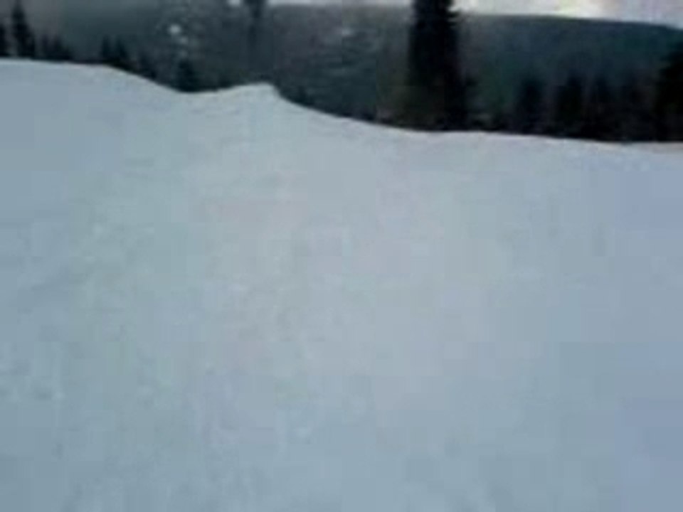 Vitoshko Lale part2