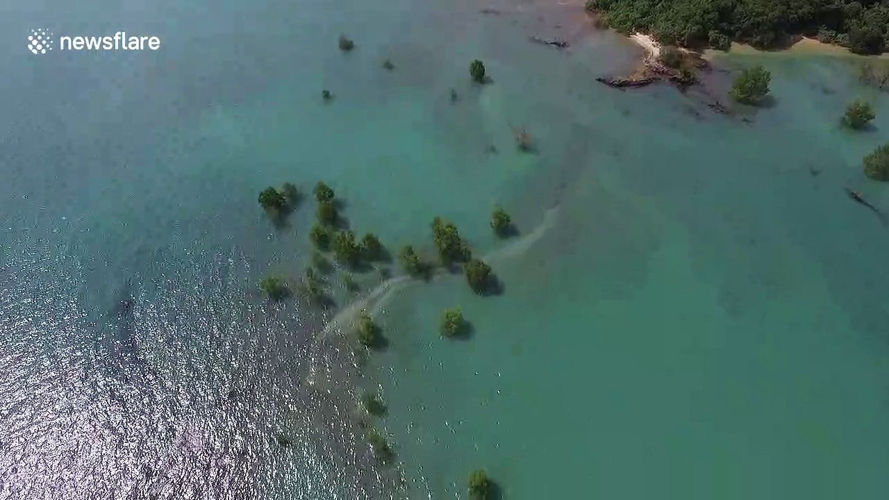 Sea level rise swamps Mergui Archipelago coast in Myanmar