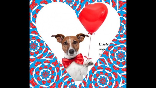 Existem muitas pessoas ingratas, os animais mostram sua gratidão e amor! [Frases e Poemas]