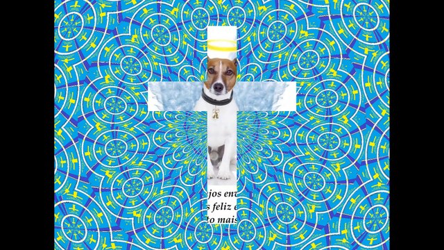 Os animais são pequenos anjos enviados por Deus, para alegrar nossos corações! [Frases e Poemas]