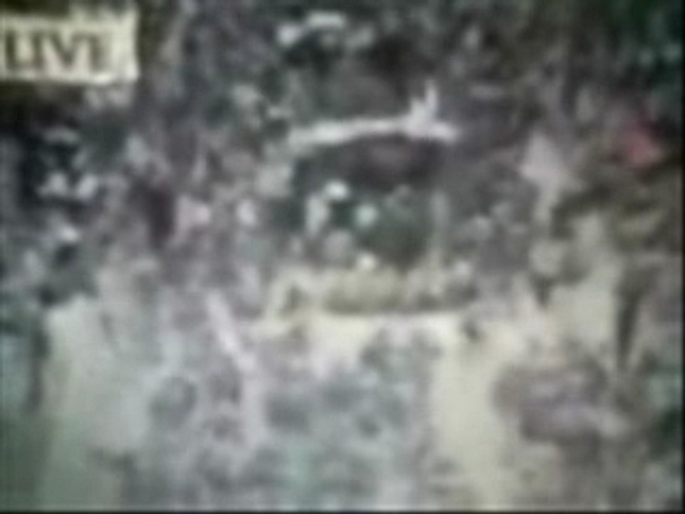 Gayle Gone Wild: Gayle Guyardo: Threat or Menace?