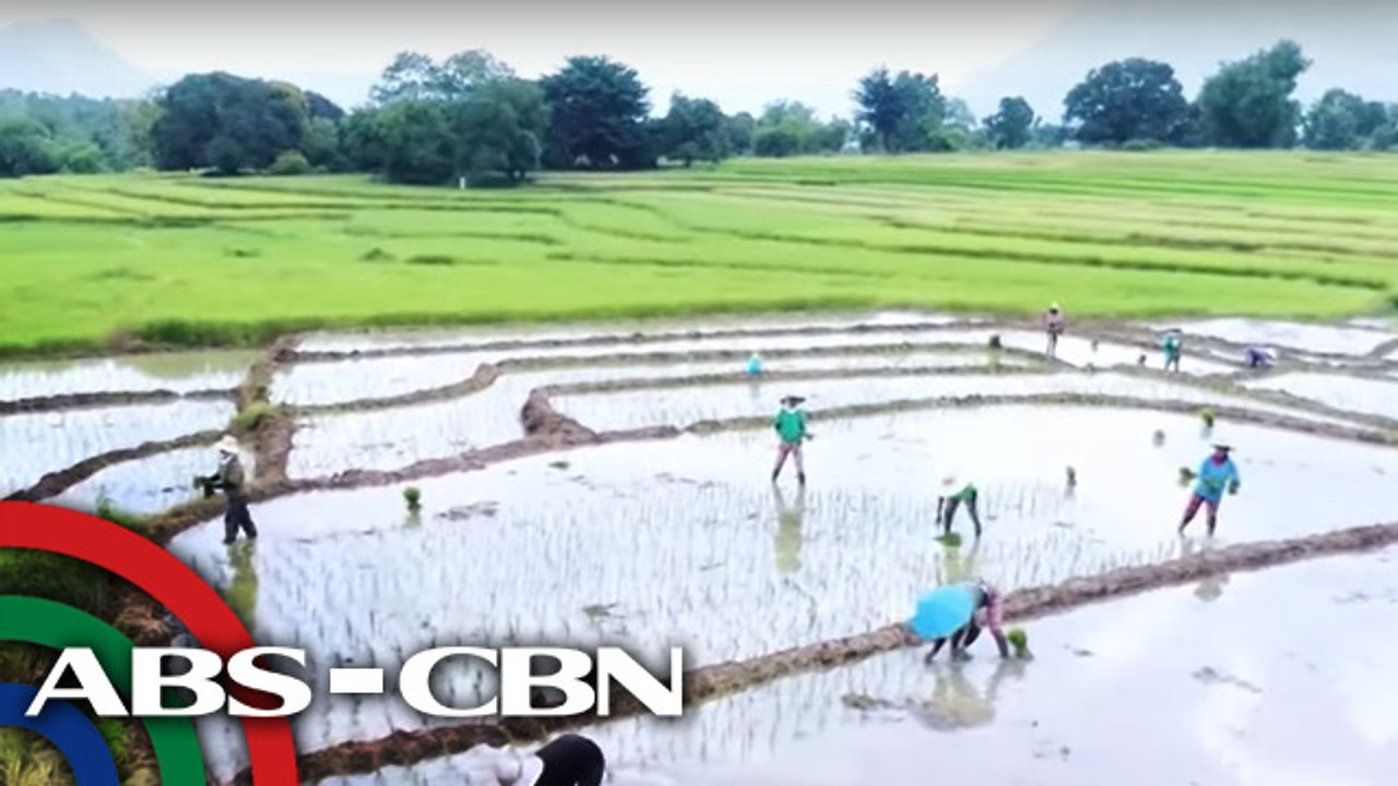 Wakas ng Paggapas? | Ika-2 Bahagi | Part 4 | Failon Ngayon