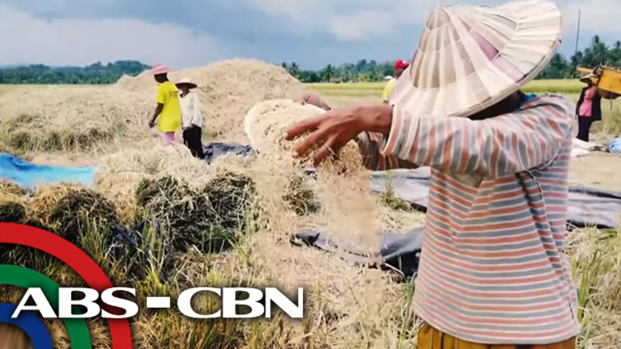 Wakas ng Paggapas? | Ika-2 Bahagi | Part 5 | Failon Ngayon