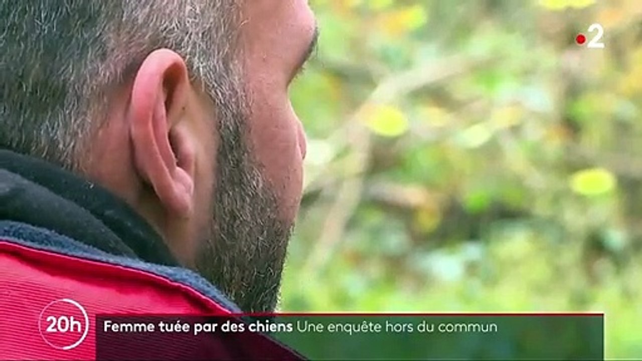 Femme enceinte tuée par des chiens dans l'Aisne : des prélèvements ADN sur 67 animaux