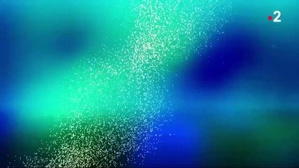 Justice : comment l'ADN révolutionne les enquêtes policières