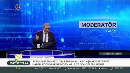 Kedileri vahşice katledildi