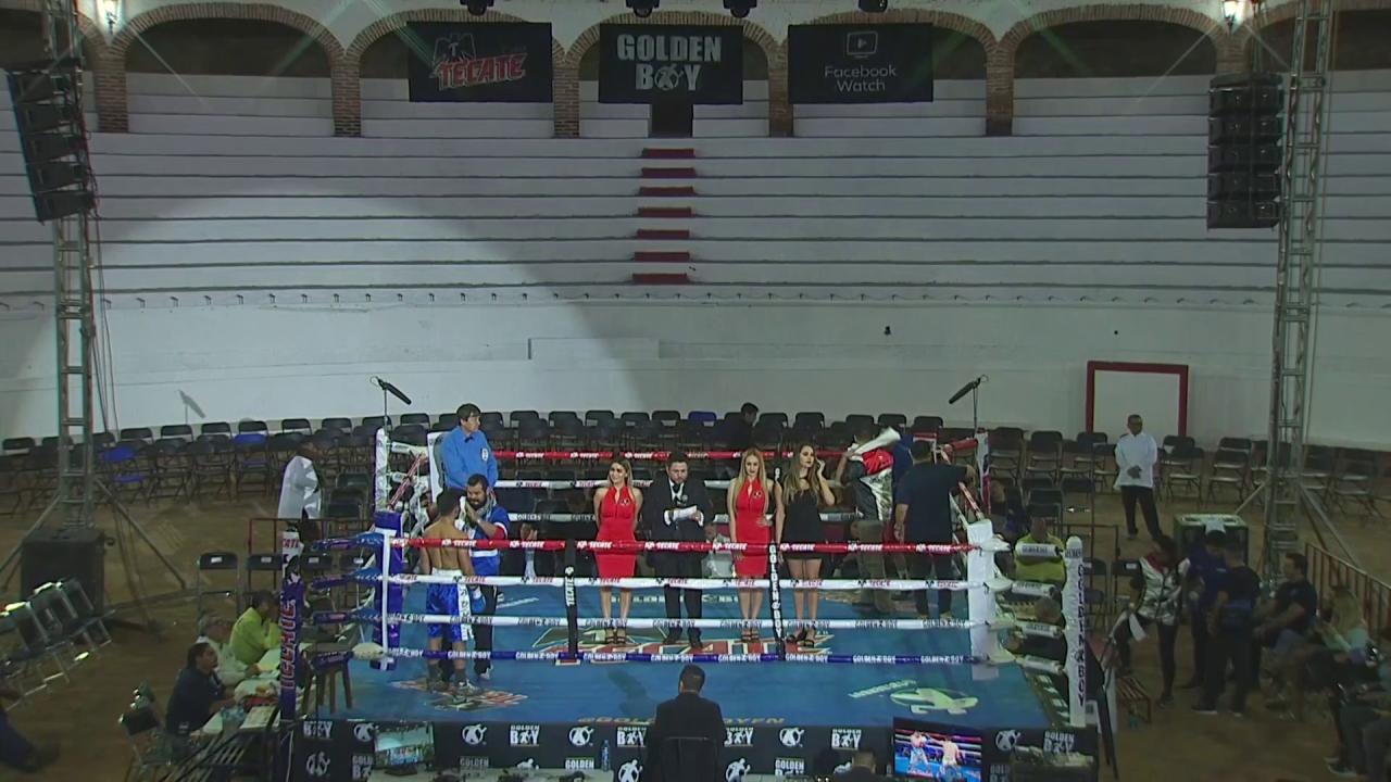Fight 11.16.2019