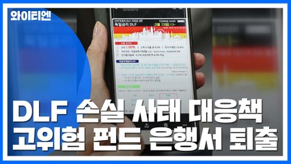 DLF 손실 사태 대응책...다음 달부터 시행 / YTN