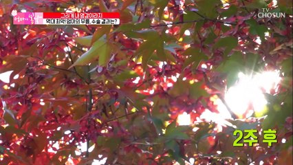 젊은 나이에 역대 최악의 무릎상태? 수술 결과는?