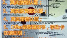 定制大学毕业证成绩单【Q微56300017】USA毕业证_美国毕业证书United States文凭学历认证美国驾照ID大学学生卡United States Diploma degree