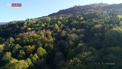 Kış turizm merkezi Kartepe sonbaharda da güzel