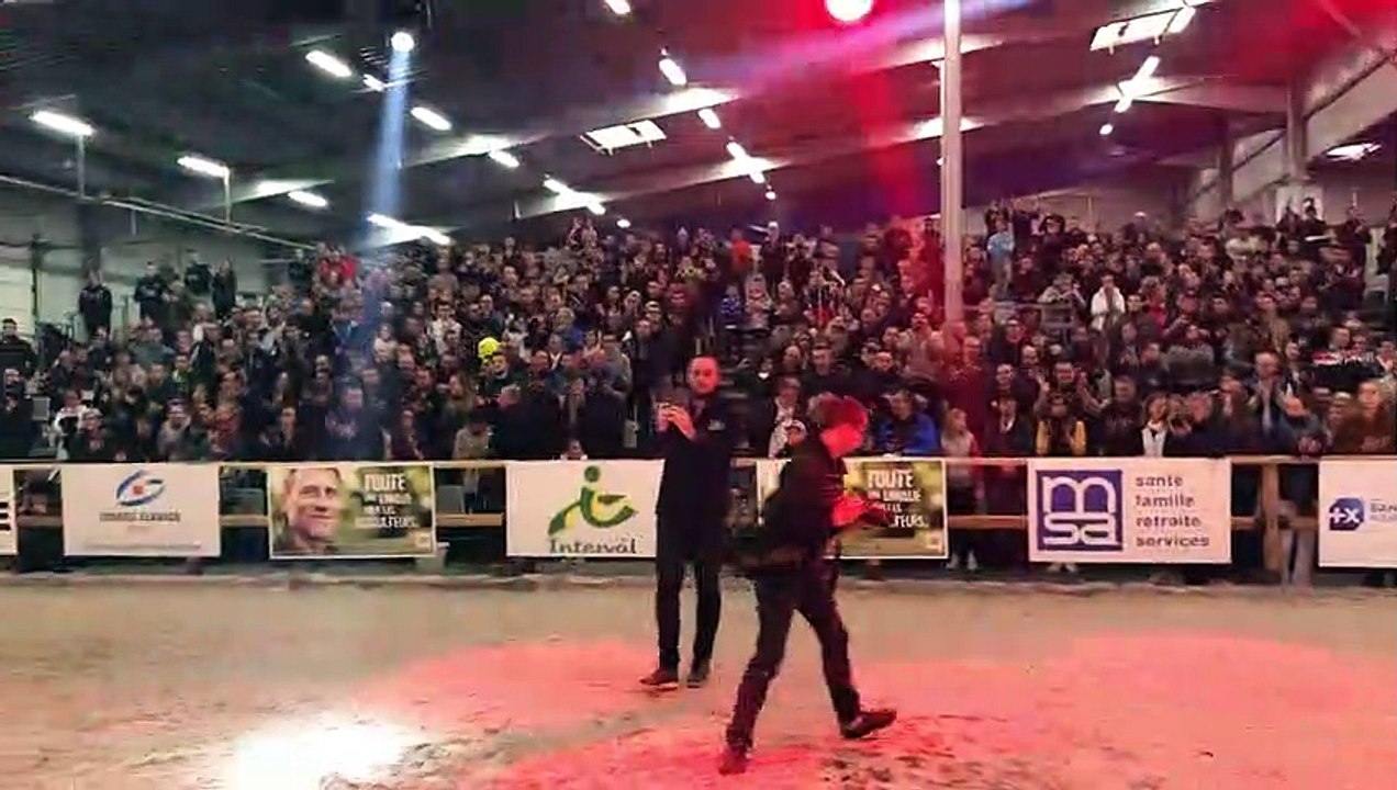 Vache de salon à Besançon (25) : la Grande Mamelle qui est haut-saônoise