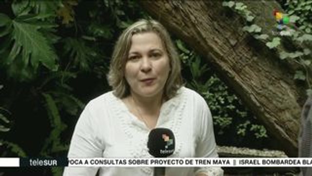 teleSUR Noticias: Asedian la embajada de Bolivia en Venezuela