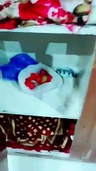 The Most Popular Musically Videos Of November 2019  Best Tik Tok Compilation Video Part 02