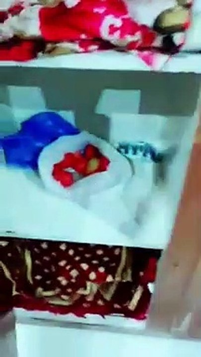 The Most Popular Musically Videos Of November 2...
