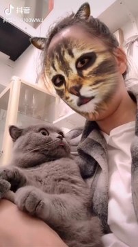 Son chat est terrifié par le filtre snapchat... Tellement drôle