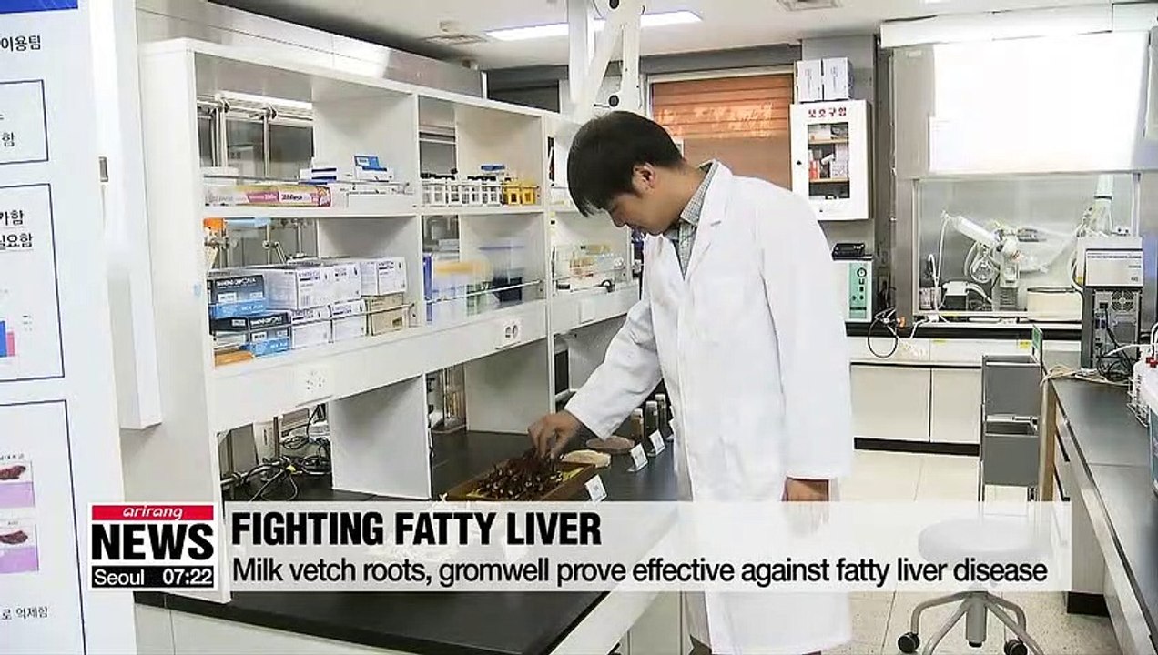 Milk vetch roots, gromwell prove effective against fatty liver disease