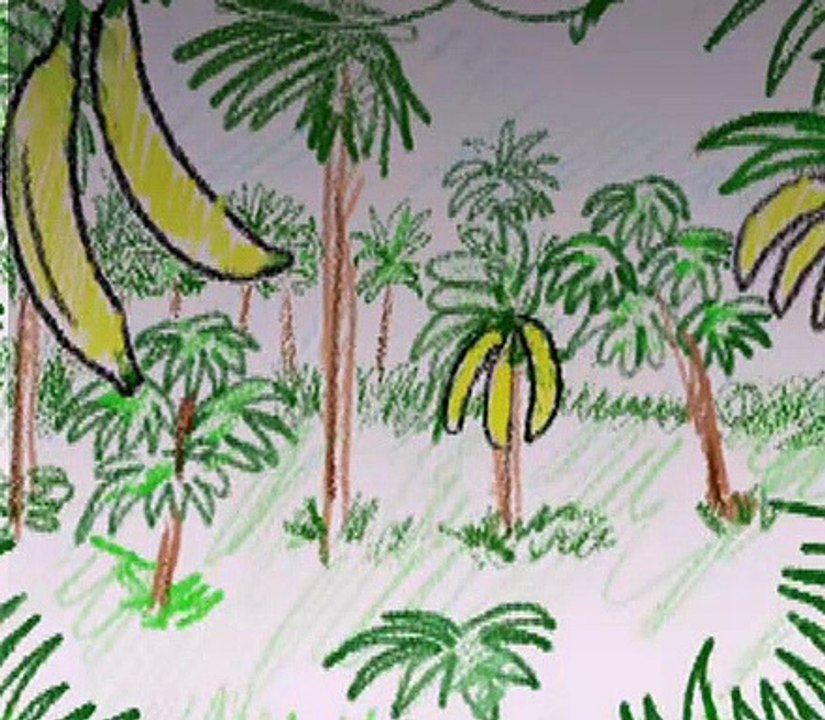 Baby Einstein 21 World Animals A Musical Safari (06mos) video