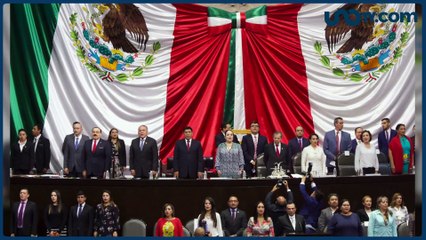 Martha Anaya | El "manotazo" de Andrés Manuel en el Congreso