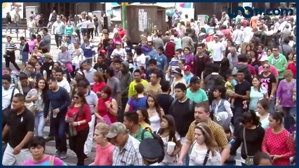 Pamela Cerdeira | ¿Quién gana algo con la detención de Rosario Robles?