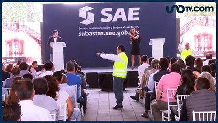 Martha Anaya | Una subasta "desilusionante"