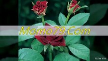 검증놀이터⇔­―­⇔ MoMo79.CoM ⇔­―­⇔안전놀이터­안전공원추천
