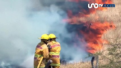 Martha Anaya | ¡Ni con Tláloc la libramos!, sigue la contingencia en México