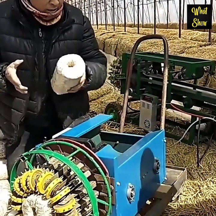 Satisfying Moments N°2
