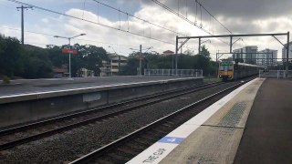 Sydney Trains - T43 + T80 passing at Allawah