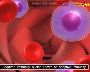 Best CBSE Biology Class 10 Study Material on Extramarks