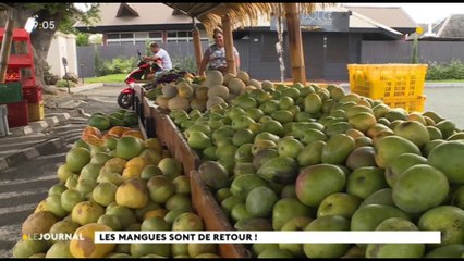 Les mangues en abondance